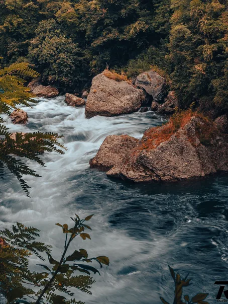 A rocky forest stream