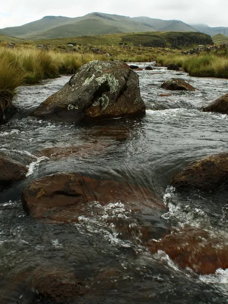 A stream running through moorland
