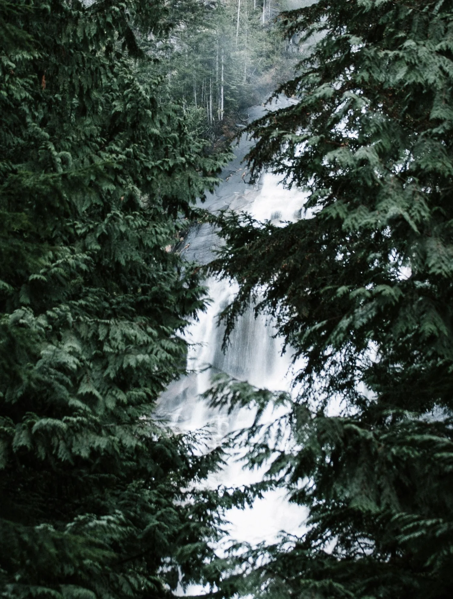 A waterfall in a dark forest